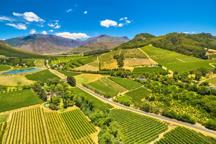 Full Day Cape Winelands Tour