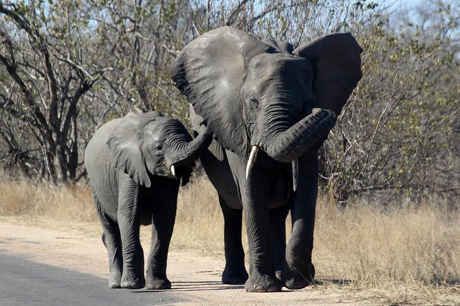 Kruger National Park