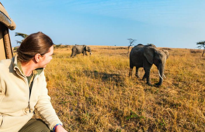 Pilanesberg A person wearing a beige jacket and colorful bracelets looks at two elephants walking on a grassy plain from a safari vehicle. The sky is clear, and a few trees are scattered in the background.