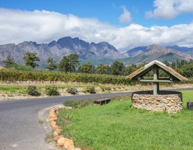 Discover a scenic view of the vineyard during a Cape Winelands full-day tour, featuring a stone well in the foreground. Lush green vines, trees, and majestic mountains rise under a partly cloudy blue sky as a paved road gracefully curves through this enchanting landscape.