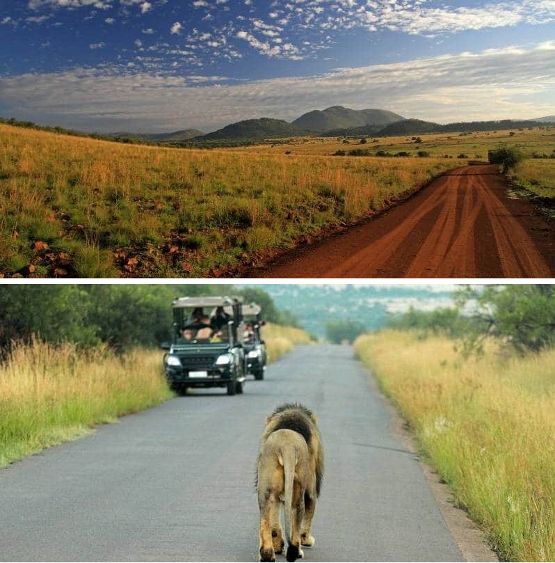 Pilanesberg National Park