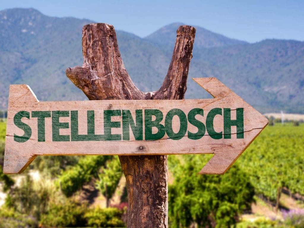 A wooden arrow-shaped sign reads STELLENBOSCH in green letters. It's attached to a tree branch with vineyards in the background, creating a stunning 15-day itinerary vista akin to the landscapes seen on the way to Johannesburg or Kruger, framed by majestic mountains and a clear sky.