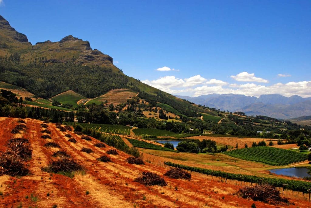 Vibrant landscape of a vineyard with rows of red soil, green vines, and rolling hills under a blue sky. Mountains in the background create a scenic backdrop, with patches of trees and a small pond visible.