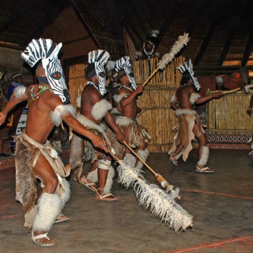 A group of dancers in traditional attire, including feathered headdresses and animal pelts, performs energetically in an indoor setting. The dancers are holding ornate staffs, and the background features cultural decorations.