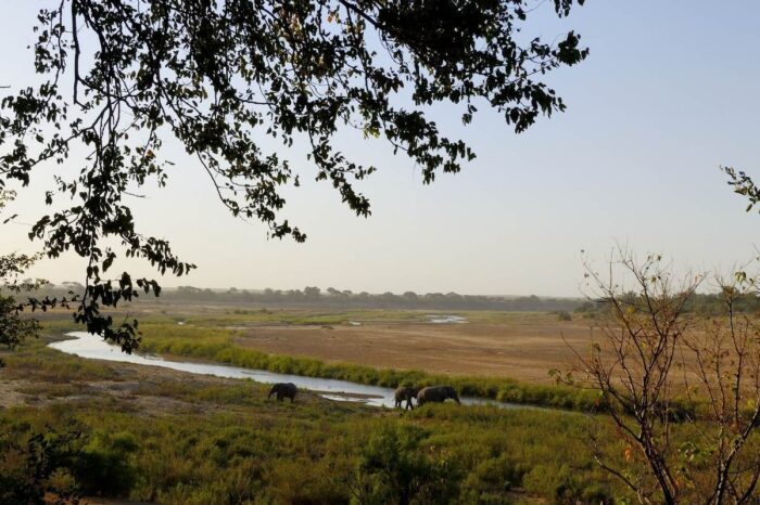 kruger National Park