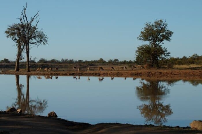 kruger National Park