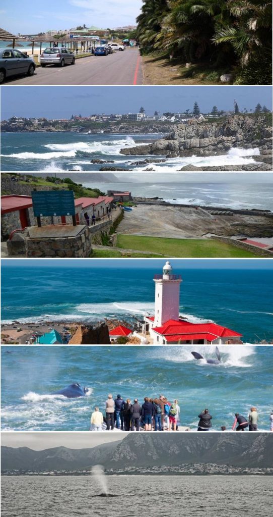 Day 13- George – Mossel Bay – Hermanus – Whale Watching