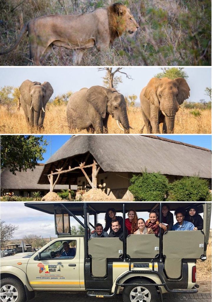 Kruger National Park Safari