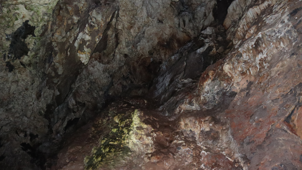 The rough, textured cave ceiling resembles a hidden gem on a Cradle of Humankind Day Tour, boasting earthy tones of brown, beige, and dark green. Its uneven surface reveals rock formations and patches of intriguing discoloration.