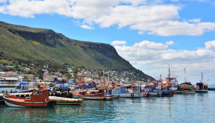 camps bay A scenic harbor with colorful fishing boats anchored on calm water invites you to start your Cape Peninsula tour. In the background, a hillside covered with greenery and a small seaside town are visible under a partly cloudy blue sky.