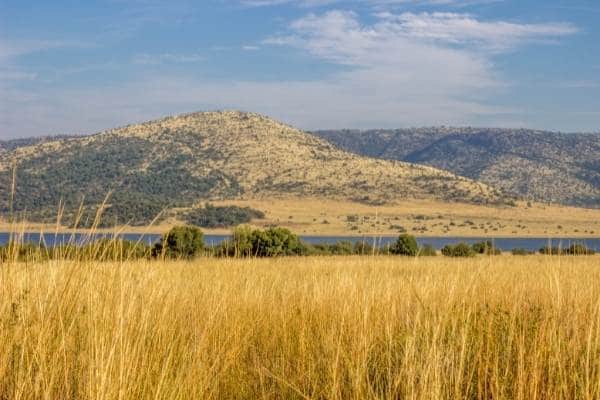 Landscape in the Pilanesberg National Park