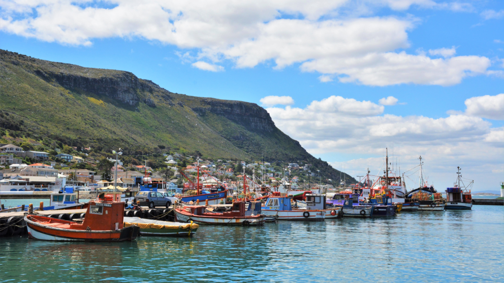 A scenic harbor with colorful fishing boats anchored on calm water invites you to start your Cape Peninsula tour. In the background, a hillside covered with greenery and a small seaside town are visible under a partly cloudy blue sky.