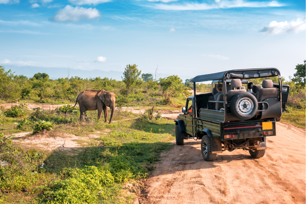 A safari jeep with empty seats is parked on a dirt road, observing an elephant grazing on green vegetation under a clear blue sky in a savanna landscape.