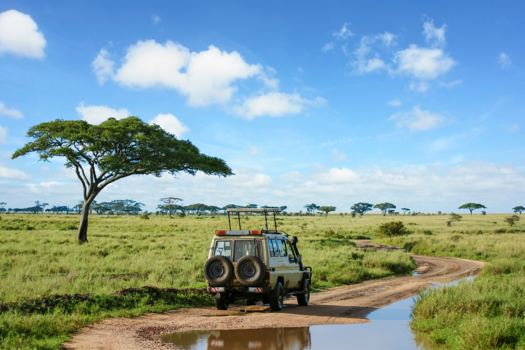 A safari vehicle travels on a dirt road through a scenic savanna, with lush green grass and sparse trees under a bright blue sky with scattered clouds. The landscape is expansive, capturing the essence of an open and wild environment.