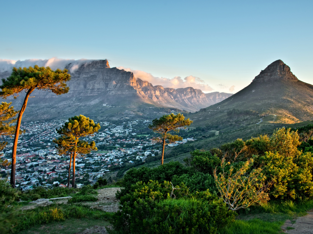 A scenic view of Cape Town, South Africa, featuring the iconic Table Mountain and Lions Head. The foreground has lush greenery and tall trees, with a cityscape nestled at the mountains base under a clear blue sky.