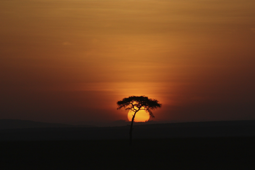 A solitary tree stands silhouetted against a vibrant orange sunset on the horizon, creating a dramatic scene with a glowing sky and a dark landscape.