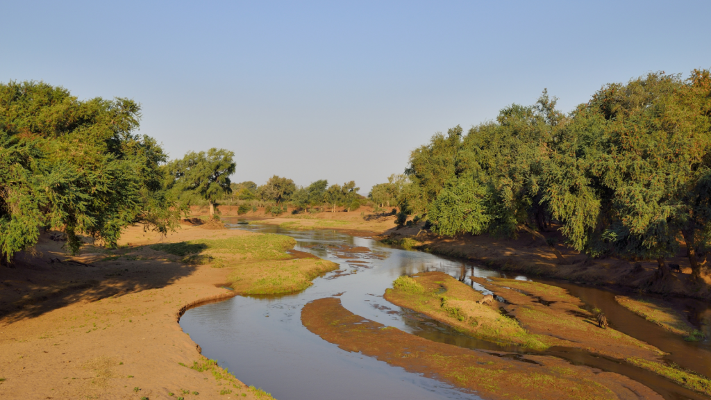 A narrow river flows through a dry landscape with patches of greenery and dense trees on both sides. The sky is clear and blue, adding to the serene and natural atmosphere of the scene.