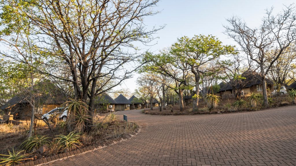 A curving brick path leads through a scenic setting with rustic thatched-roof huts surrounded by trees and dry vegetation. Bright sky with scattered branches and leaves adds to the serene atmosphere.