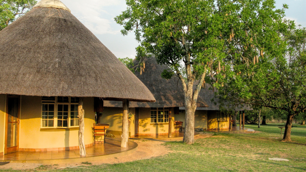 A tranquil scene of round huts with thatched roofs and wooden posts, set in a grassy area. A tree with hanging seed pods stands nearby. The sun casts warm light on the landscape, creating a peaceful atmosphere.