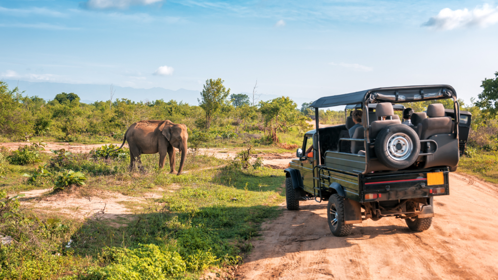 A safari jeep with passengers observes a lone elephant grazing in a grassy, open landscape. The sky is clear with a few clouds, and the dirt road leads further into the lush scenery.