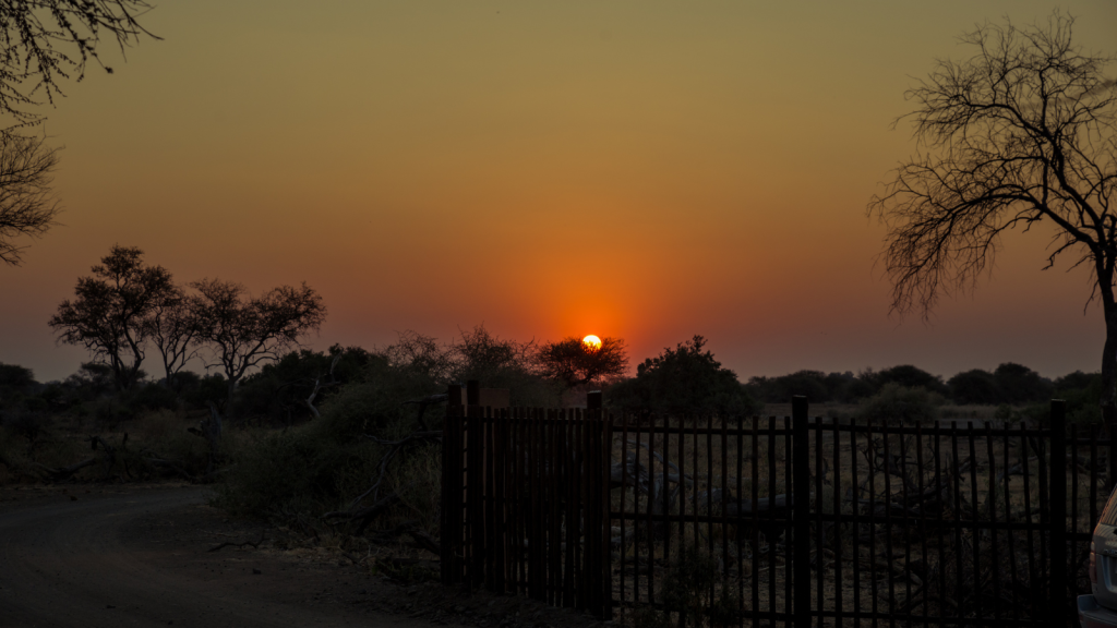 A serene sunset over a savannah landscape, with the sun dipping below the horizon behind sparse trees. The sky is a gradient from orange to golden, silhouetting a fence and dry foliage in the foreground.