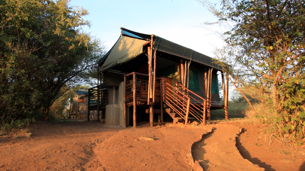 A rustic tent cabin with a wooden porch sits elevated on a platform, surrounded by trees and shrubs. The pathway leading to the entrance is lined with sunlight, casting a warm glow on the cabin and its natural surroundings.