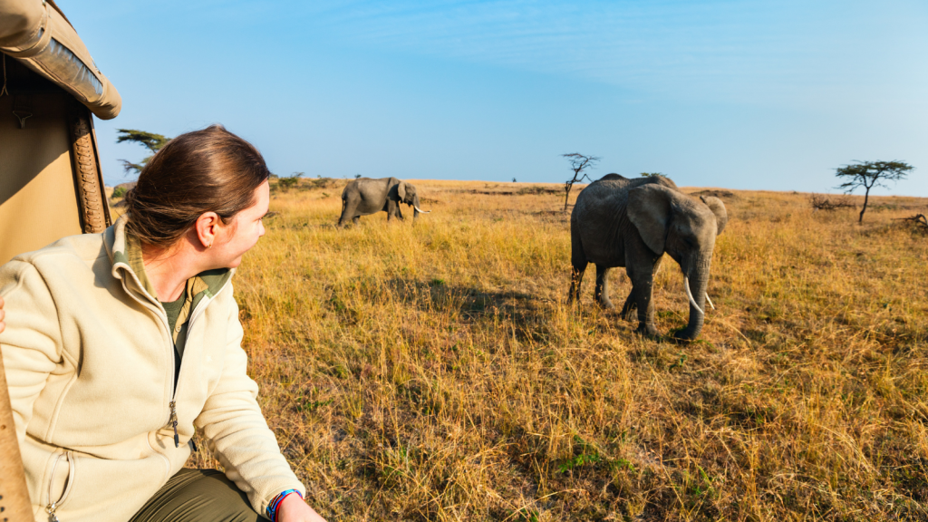 A person wearing a beige jacket and colorful bracelets looks at two elephants walking on a grassy plain from a safari vehicle. The sky is clear, and a few trees are scattered in the background.