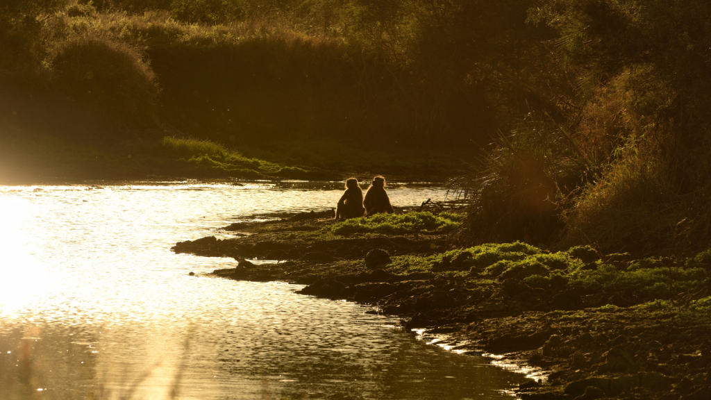 Two people sit along a riverbank at sunset, surrounded by lush greenery. The water reflects the golden light, creating a peaceful, serene atmosphere.