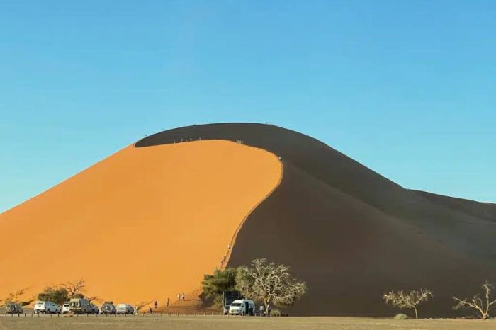 A large sand dune in Namibia showcases striking sunlight and shadow contrasts. Several people on a Namibia tour from Johannesburg are hiking up the ridge, while vehicles are parked at the base near sparse trees under a clear blue sky.