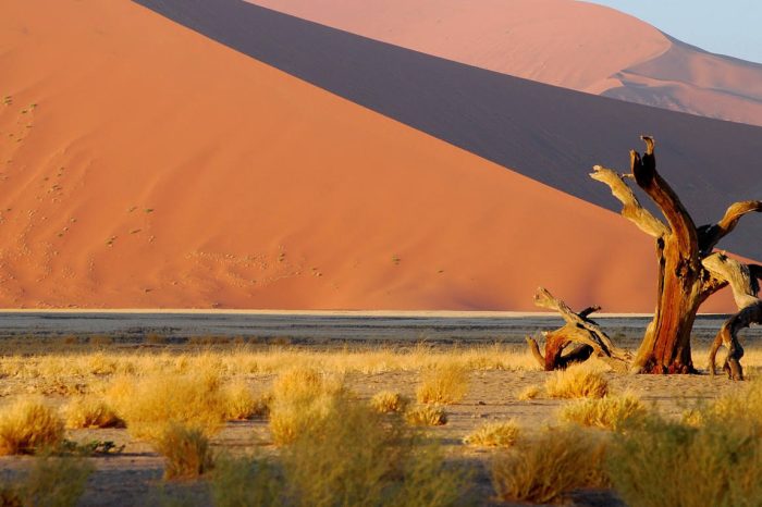 6 Day Namibia Tour from Cape Town