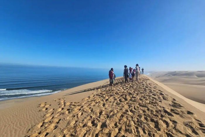 A group of people on a Namibia tour from Johannesburg strolls along the top of a sandy dune, overlooking an ocean with gentle waves. The sky is clear and blue, merging seamlessly into the sea, highlighting the vastness of the desert and ocean in this bright, expansive scene.