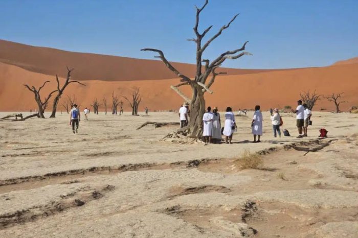 A group of people stands near leafless trees on a dry, cracked desert surface during a Namibia tour from Johannesburg. They are wearing white clothes, and sand dunes are visible in the background under a clear blue sky.