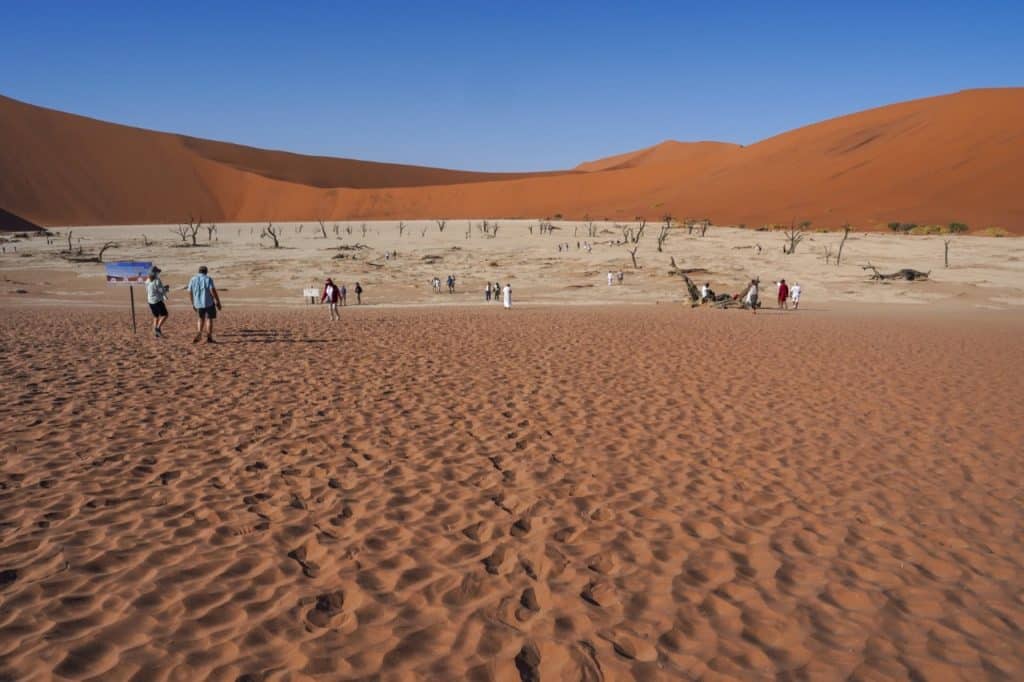 Embark on a Namibia tour from Johannesburg and stroll across the red sand dunes of Deadvlei, where sparse dead trees punctuate the cracked white clay pan. The vast landscape, framed by orange dunes and a bright blue sky, offers an otherworldly experience.