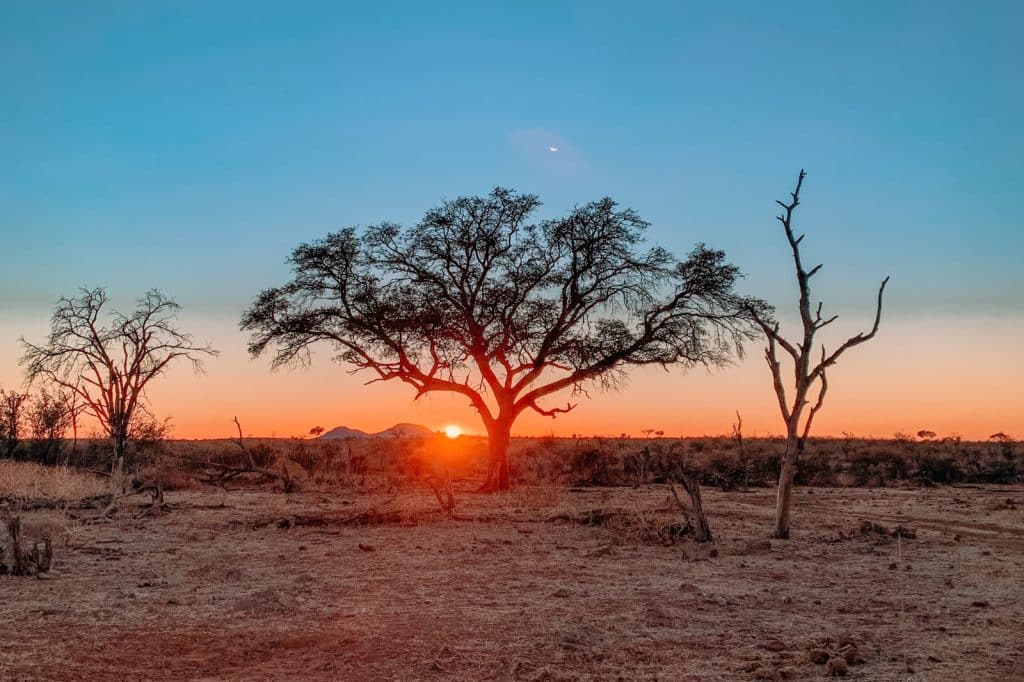 A scenic view of an African savanna at sunset. The sun is setting on the horizon, casting an orange glow across the sky and landscape. Silhouettes of acacia trees stand in the foreground against the vibrant sky.