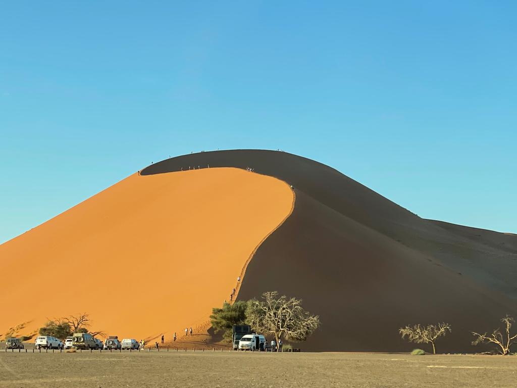 A large sand dune in Namibia showcases striking sunlight and shadow contrasts. Several people on a Namibia tour from Johannesburg are hiking up the ridge, while vehicles are parked at the base near sparse trees under a clear blue sky.