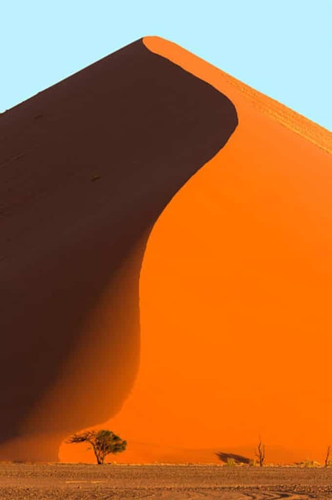 A tall, vibrant orange sand dune in Namibia stands sharply against a pale blue sky, with a lone small tree casting a shadow at its base—a breathtaking scene for any visitor on a tour from Johannesburg.