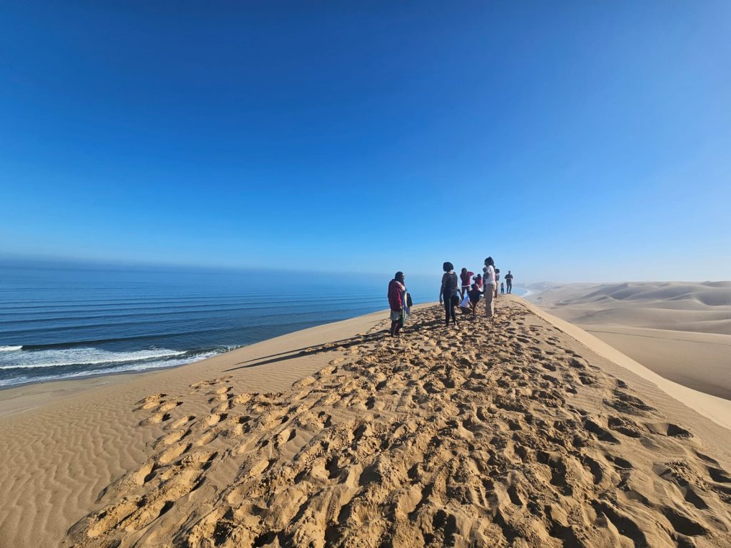 A group of people on a Namibia tour from Johannesburg strolls along the top of a sandy dune, overlooking an ocean with gentle waves. The sky is clear and blue, merging seamlessly into the sea, highlighting the vastness of the desert and ocean in this bright, expansive scene.