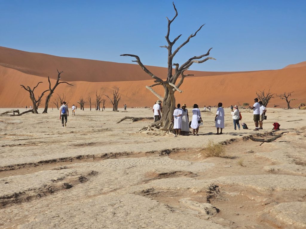 A group of people stands near leafless trees on a dry, cracked desert surface during a Namibia tour from Johannesburg. They are wearing white clothes, and sand dunes are visible in the background under a clear blue sky.