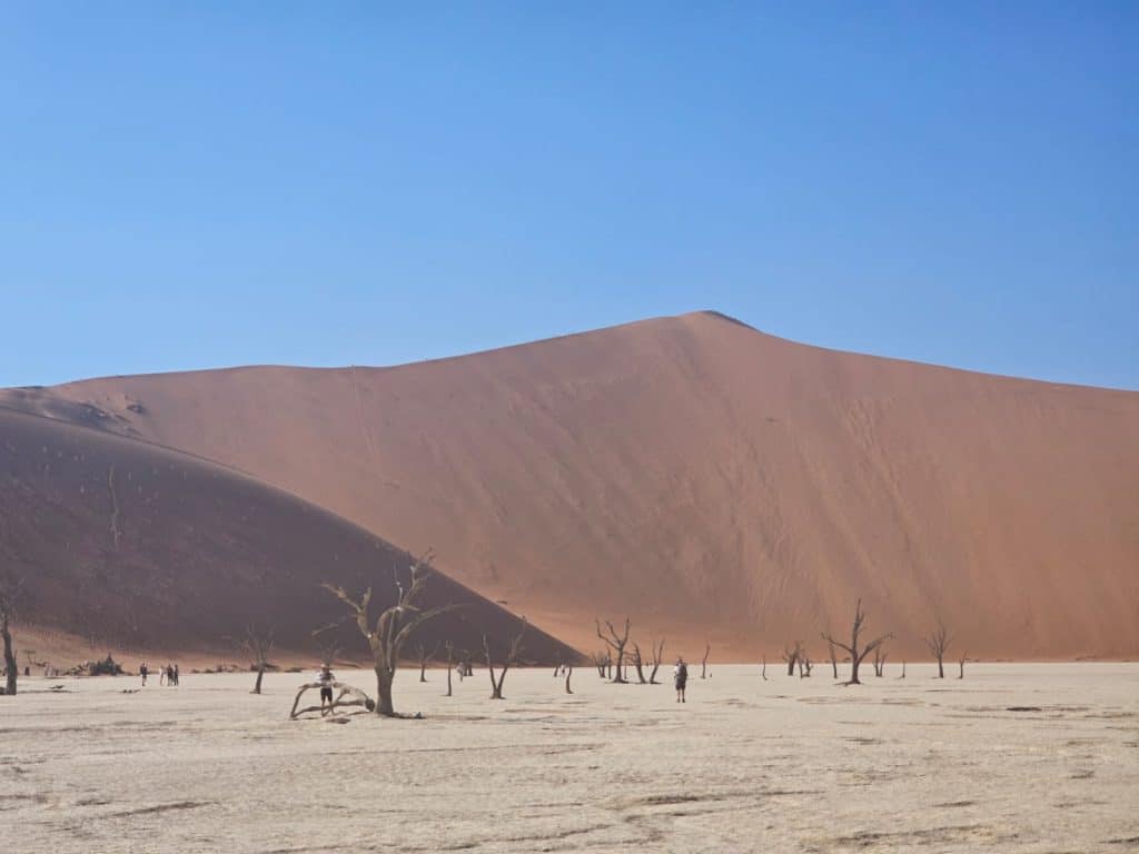 A vast desert landscape with a large, red sand dune under a clear blue sky unfolds on the Namibia tour from Johannesburg. Sparse, dried trees dot the light-colored sandy foreground, and a few people are visible, giving a sense of scale to the towering dune.