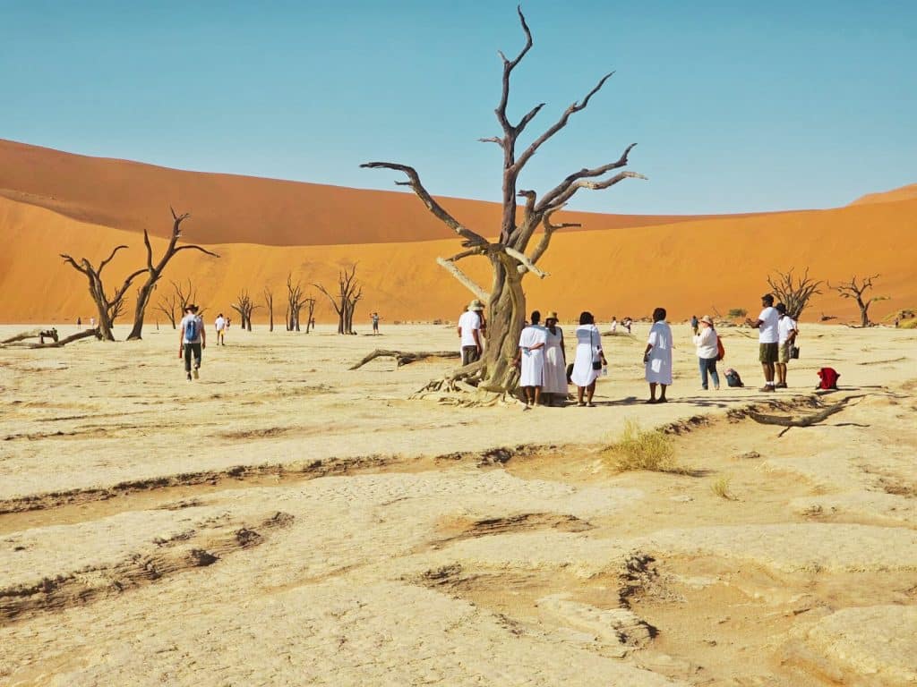 A group of people in white outfits standing near a leafless tree in a vast, dry desert landscape. The ground is cracked, and red sand dunes rise in the background under a clear blue sky.