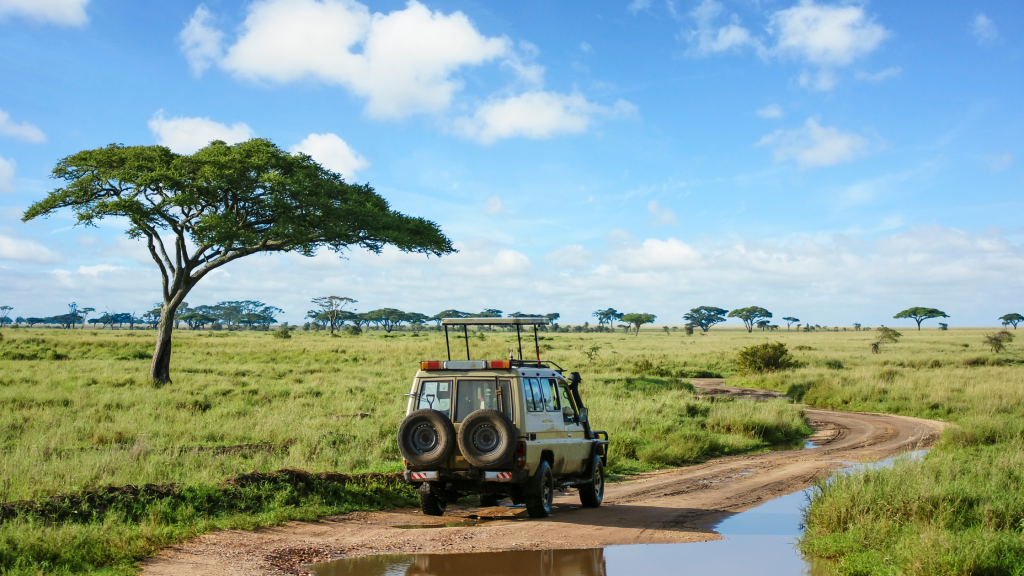 A safari jeep navigates a dirt road in a vast savanna landscape under a clear blue sky. A lone acacia tree stands to the left, while more trees dot the horizon in the background. Puddles reflect the scene after recent rain.