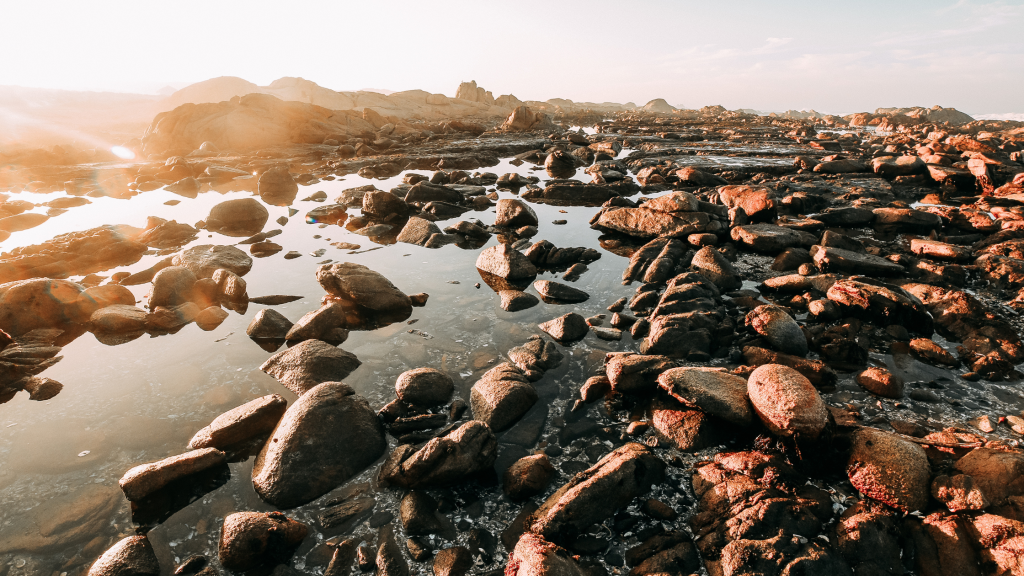 Rocky shoreline with scattered pools of water reflecting the light from a setting sun. The landscape is filled with large and small rocks, creating a rugged texture. The sky is pale and clear, adding to the tranquil atmosphere.