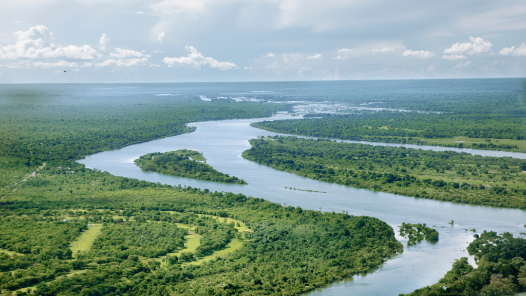 Aerial view of a winding river cutting through lush, green forested landscape under a cloudy sky. The rivers curves are pronounced, surrounded by expansive greenery, reflecting natural beauty and serenity.