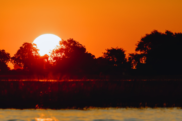 5 Day Botswana Safari from Johannesburg