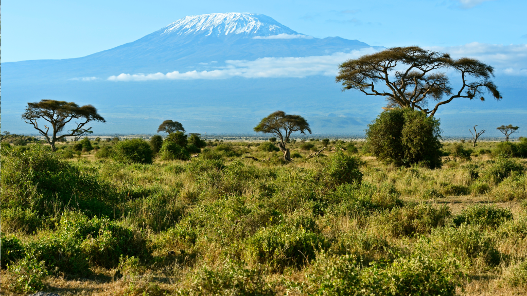 Mount Kilimanjaro in the background with a snow-capped peak, under a clear blue sky. The foreground features a lush savanna landscape dotted with acacia trees and bushes.