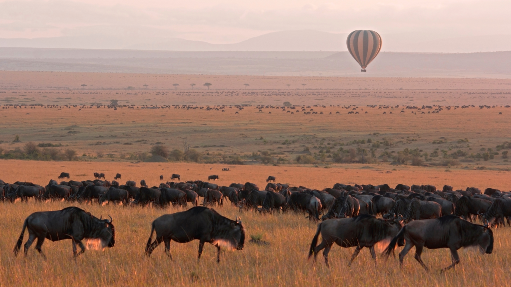 A vast savanna landscape with a herd of wildebeests grazing in the foreground. In the distance, a hot air balloon floats above the plains under a hazy sky. The terrain stretches out to misty hills on the horizon.