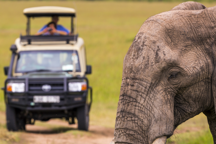 4 Day Maasai Mara Safari from Nairobi