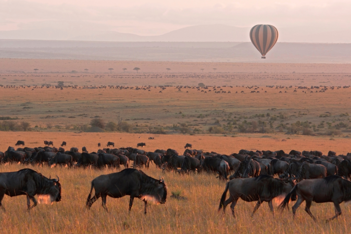 A vast savanna landscape with a herd of wildebeests grazing in the foreground. In the distance, a hot air balloon floats above the plains under a hazy sky. The terrain stretches out to misty hills on the horizon.