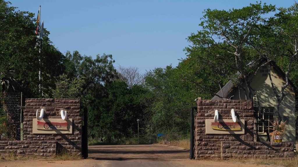 A rustic entrance with stone pillars and signs featuring tusks on either side of an open road, surrounded by lush green trees under a clear blue sky. An A-frame building is visible on the right side.