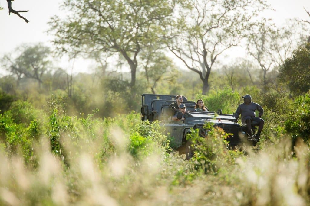 A group of people on a safari ride in an open-top vehicle, surrounded by lush green foliage and tall trees under a bright sky. The scene conveys a sense of adventure and exploration in a natural setting.